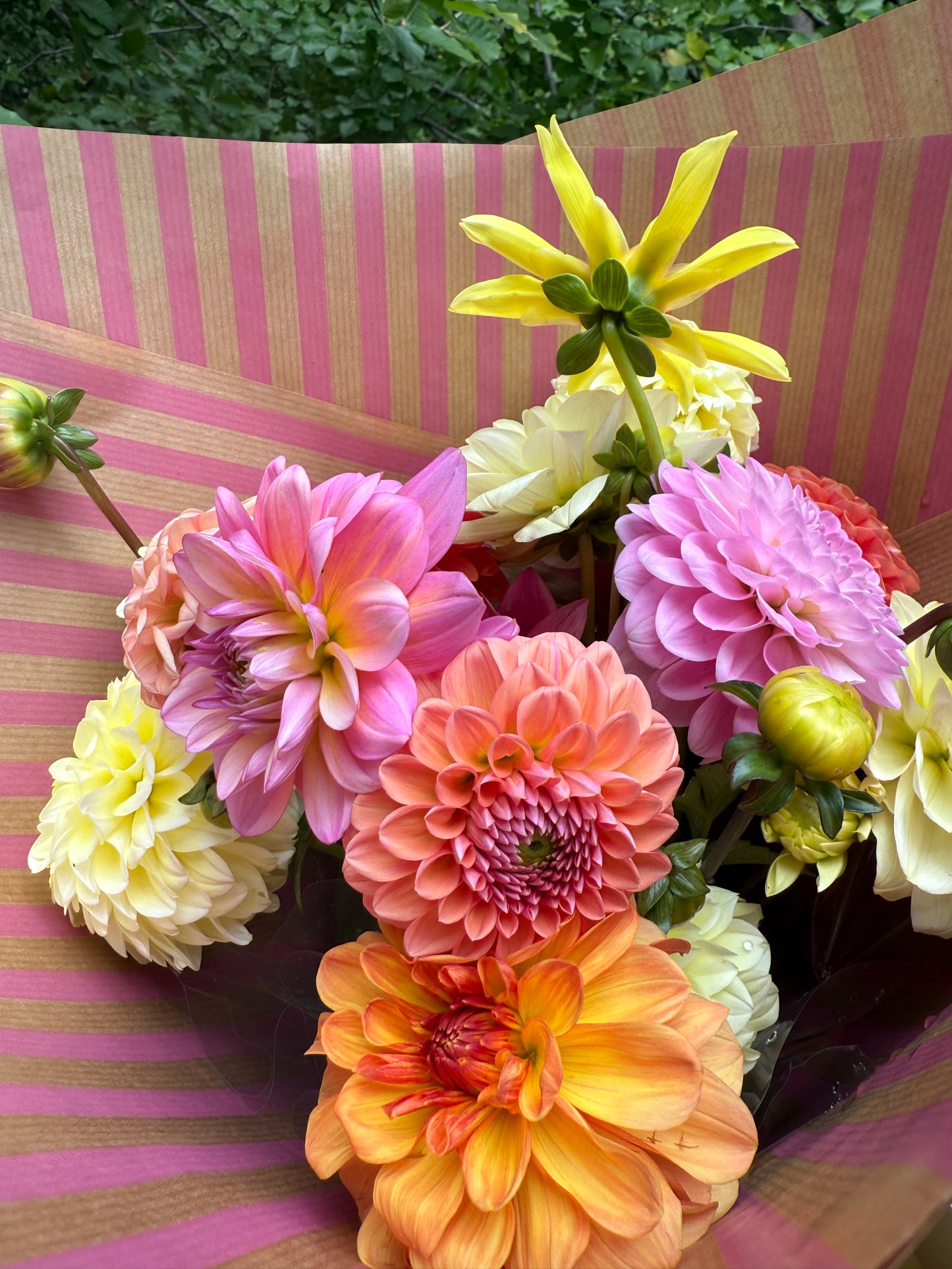 Subscription flowers